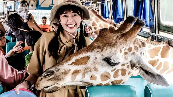 北碧府野生動物園+虎窟寺+巨雨樹+桂河大橋私人團一日遊