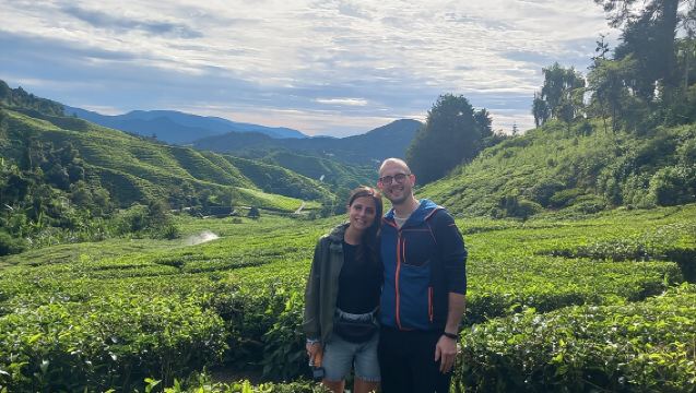 Tour Privato Giornaliero a Cameron Highland Partendo da Ipoh