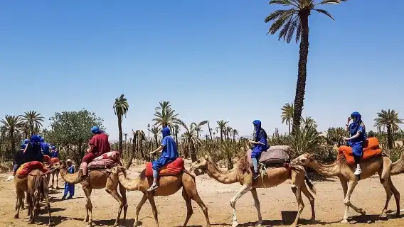 Full-Day Marrakech Tour from Casablanca – Luxury Vehicle & Pickup