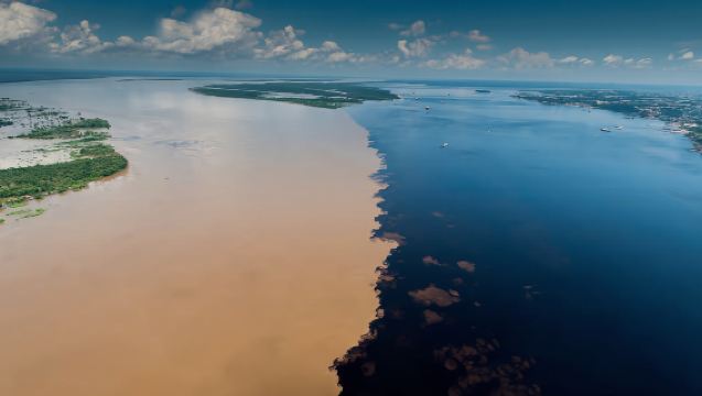 Tagesausflug auf dem Amazonas ab Manaus, Brasilien - ab 1 Person / Rosa Delfine / Mittagessen inklusive