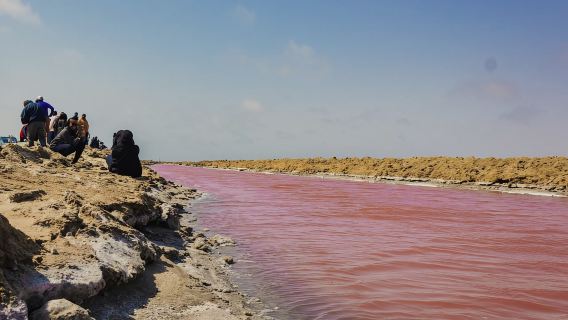 Tour di mezza giornata a Sandwich Harbour