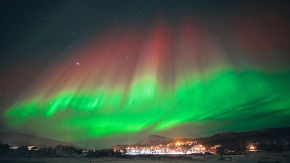 Narvik: Visita guiada de la aurora boreal con consejos de fotografía