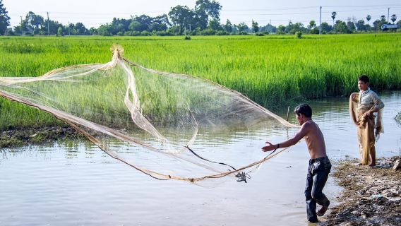 Battambang: Chuyến đi trong ngày từ Siem Reap và dịch vụ đưa đón tùy chỉnh
