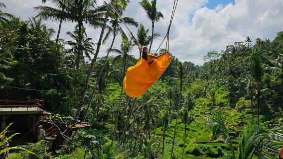 Bali: Recorrido de día completo por los mejores momentos de Instagram