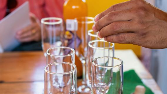 Puerto Vallarta: Chuyến tham quan bãi biển Sayulita và San Pancho