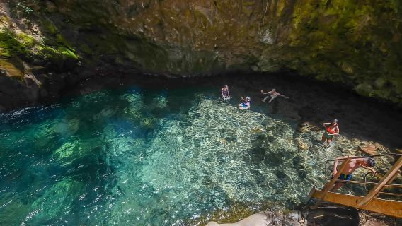 Rincón de la Vieja: Denai Las Pailas + Oropendola