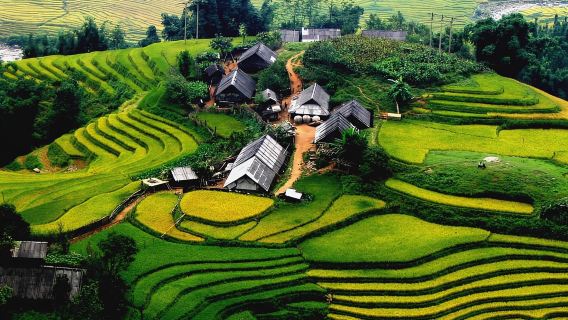 Hành trình qua ruộng bậc thang và truyền thống Sapa