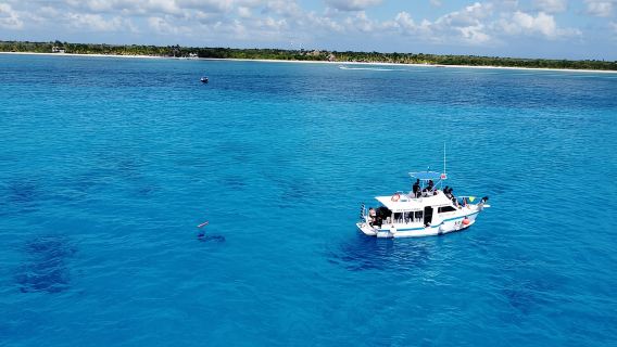Cozumel: Descubre el buceo