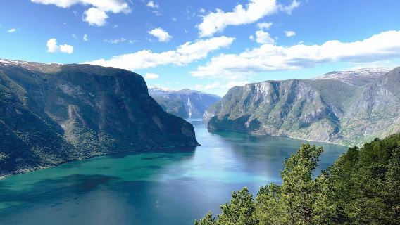 Bergen: Perjalanan Sehari Pelayaran Nærøyfjord & Kereta Api Flåm ke Oslo
