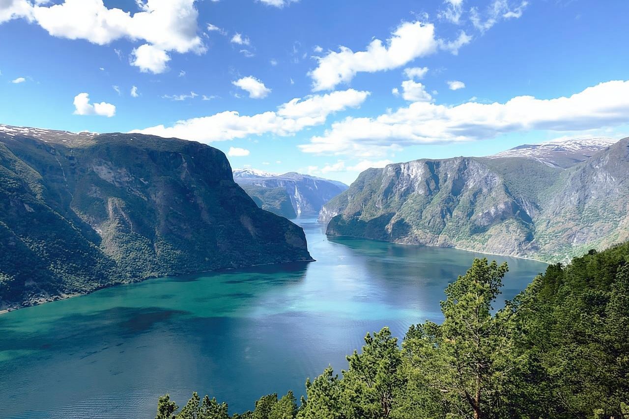 Bergen: Nærøyfjord Cruise & Flåm Railway Day Trip to Oslo