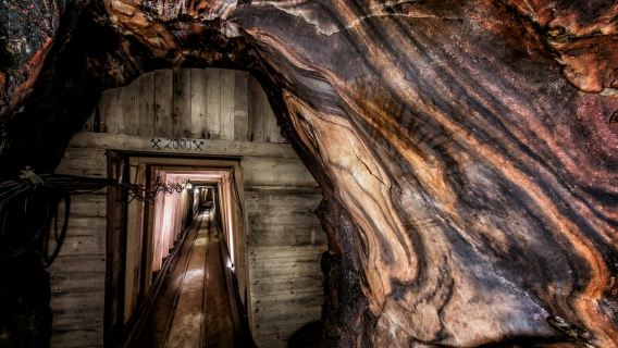 Salzwelten Altaussee: Eintrittskarte für das Salzbergwerk