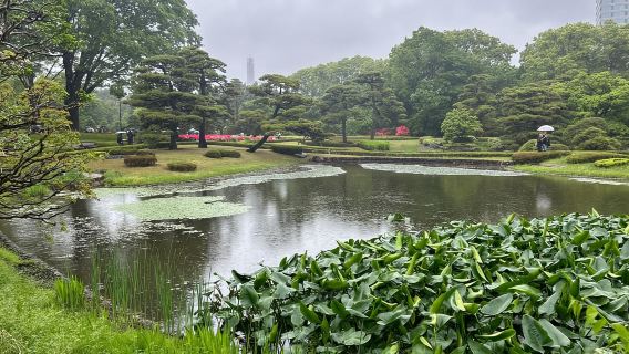 Tokyo : Palais impérial, château d'Edo et visite historique