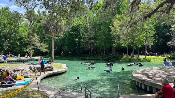 Orlando: Temporada de manatíes en Silver Springs (excursión para grupos pequeños)