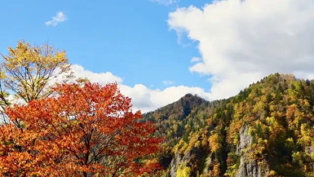 日本小樽運河+朝裏川温泉【中文司機/可訂多日】