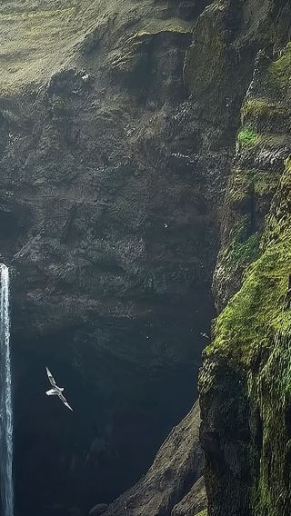 冰島雷克雅未克-斯奈山半島網紅景點白日夢想家等-可包車-精選