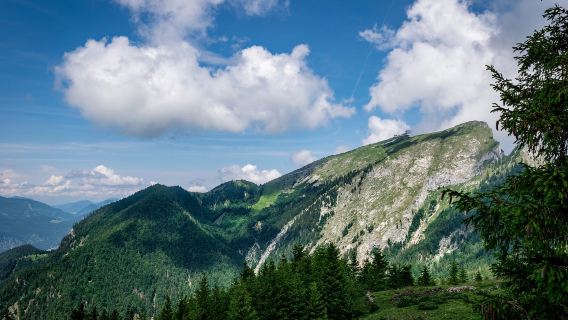 奧地利薩爾茨堡+ 聖沃夫岡+哈爾施塔特+戈紹+巴德-中文包車