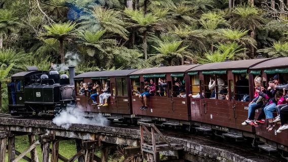 Includes round-trip transfers from meeting point | Melbourne Puffing Billy Railway rainforest tour