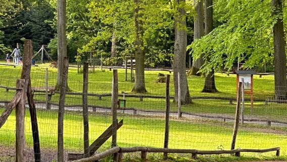 德國杜塞爾多夫自然公園+科隆教堂+朱古力博物館經典雙城之旅