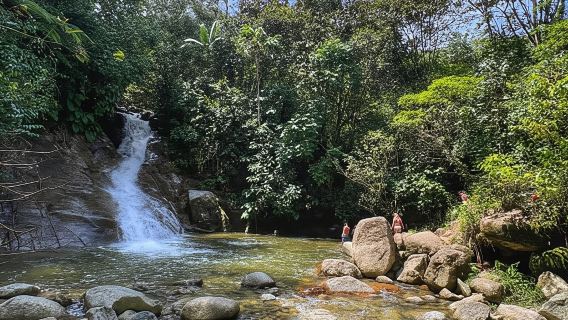 Medellín: Quebrada Boqueron Hiking