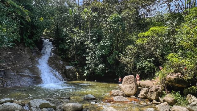 Медельин: поход в Кебрада-Бокерон
