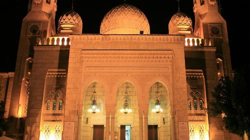Classical Dubai City - Half-Day Tour Day Tours 5