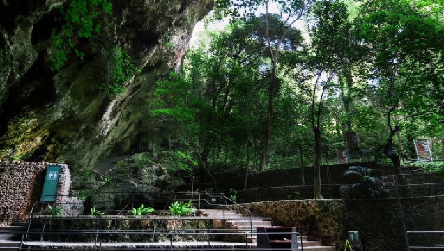 Mallorca: Half-Day Hams' Caves Tour with Pearl Shop Visit