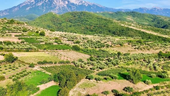 Von Durrës: Weinverkostung im Weingut Alpeta in Berat