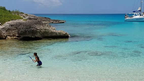 Tropical Catamaran Snorkeling & Sailing