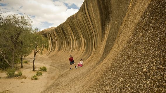 Tour di un giorno a Wave Rock, York, fiori selvatici e cultura aborigena da Perth