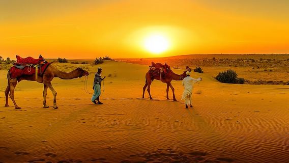 Marrakech Day Trip: Agafay Desert, Atlas Mountains and Camel Ride