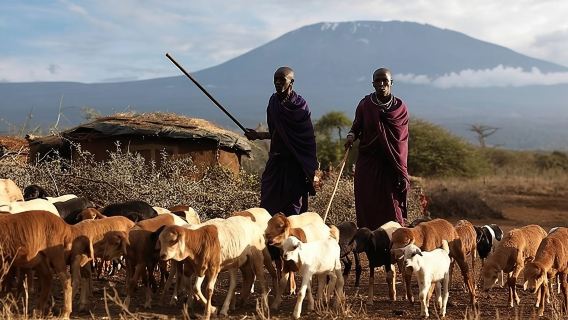 ทัวร์วันเดียวที่อัมโบเซลีจากไนโรบี