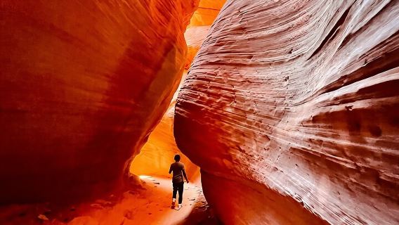Salt Lake CityTours