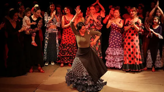 Sevilha: Aula divertida para conhecer o Flamenco