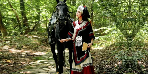 普洱茶馬古道旅遊景區一日遊【可選雨林徒步穿越+景區常規遊】