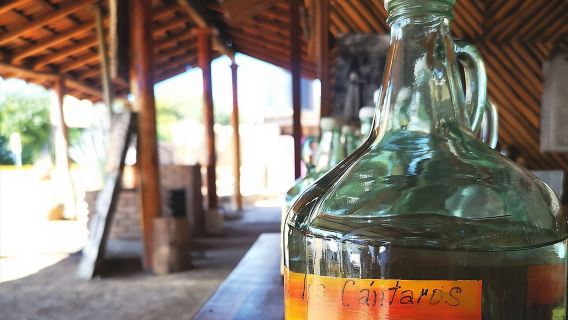 Besichtigen Sie das Café Los Caminos del Mezcal und die Tretwebstuhlfabrik