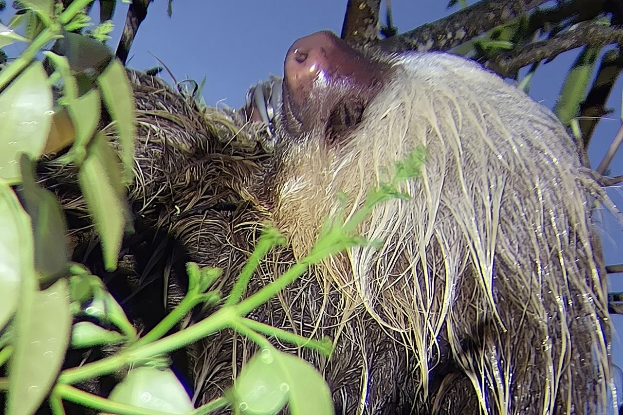 2 Hour Night Hike by Finca Lantana Monteverde