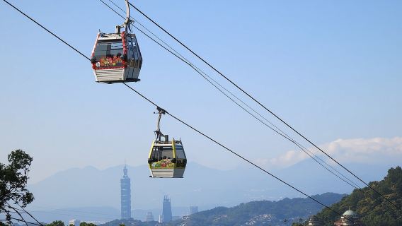 Tour tham quan Văn hóa trà Bình Lâm và Mao Không trong ngày từ Đài Bắc