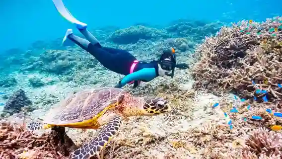 沖繩慶良間諸島浮潛半日遊 與海龜同遊|贈潛水照片|可選場次