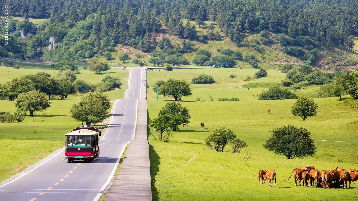 Chongqing Wulong Karst Day Tour|Fairy Mountain + Three Natural Bridges Private Tour
