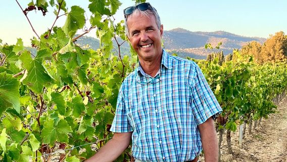 Private Full Day Wine Tour in Provence from Toulon Cruise Port