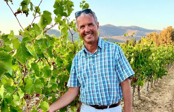 從土倫郵輪港口出發，普羅旺斯私人全日葡萄酒之旅