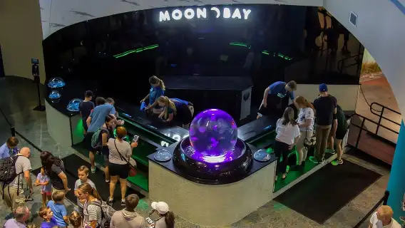 The Florida Aquarium in Tampa General Admission