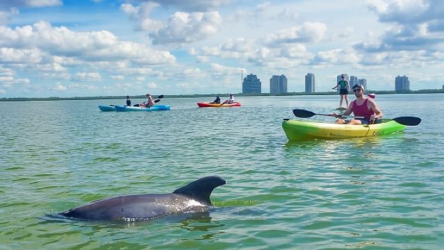 Geführte Insel-Ökotour: CLEAR/Standard Kajak, SUP - Bonita Springs