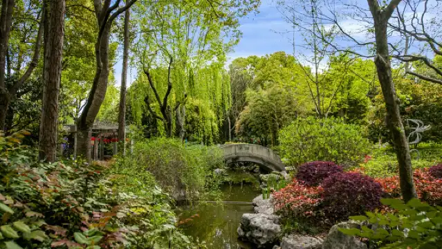 ทัวร์ครึ่งวันแบบยืดหยุ่นไปยังเมืองน้ำจูเจียเจียว