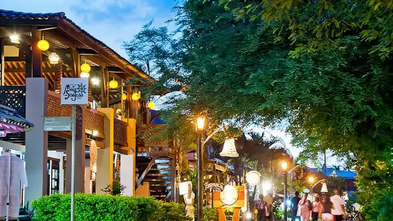 Tour Praia do Forte and Guarajuba, Leaving Salvador-Bahia.
