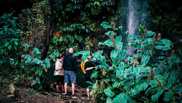 ทัวร์ซาฟารีด้วยรถจี๊ปตลอดวัน - พิโก โด อาเรโร - ซานทานา - ปอนตา เด เซา โลเรนโซ