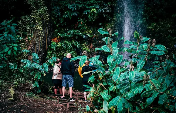 全日吉普車探險東線 - 皮庫杜阿里埃魯峰 - 桑塔納 - 聖勞倫斯角
