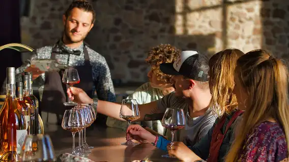 Provence Wine Tour - Small Group Tour from Nice