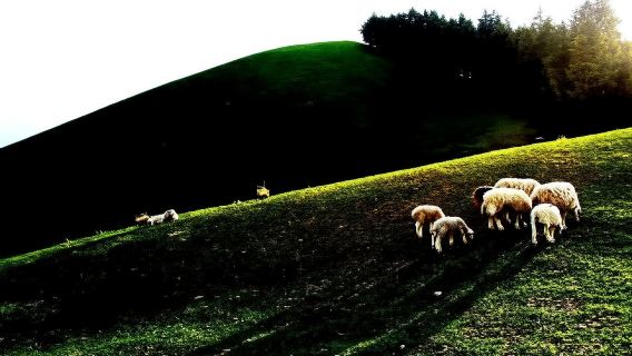 Guhya + Nanshan Ranch + Dabancheng Ancient Town 1-day tour [premium private chartered tour]