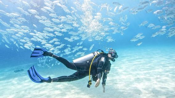 Дубай: базовый курс подводного плавания PADI